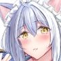 ハコのネコ