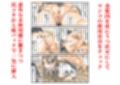 フルイスエミ マンガ総集編vol.3