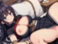 巨乳忍者しのぶ ノベライズ 放課後の任務