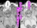 ギャル巫女神社の子宝祈願