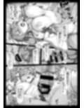 ミラクルさなえックス