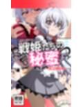 戦姫たちの秘蜜-トライバースト！！！-