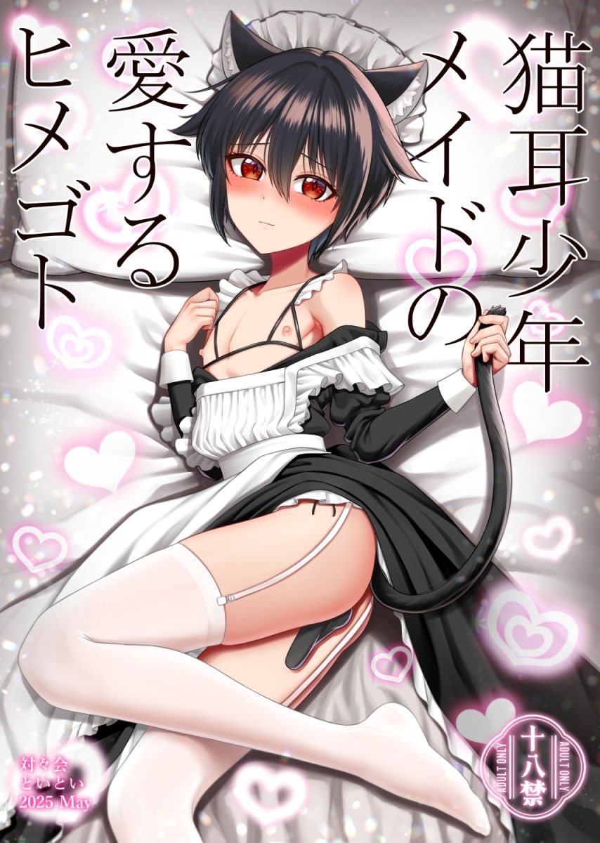 猫耳少年メイドの愛するヒメゴト 画像1