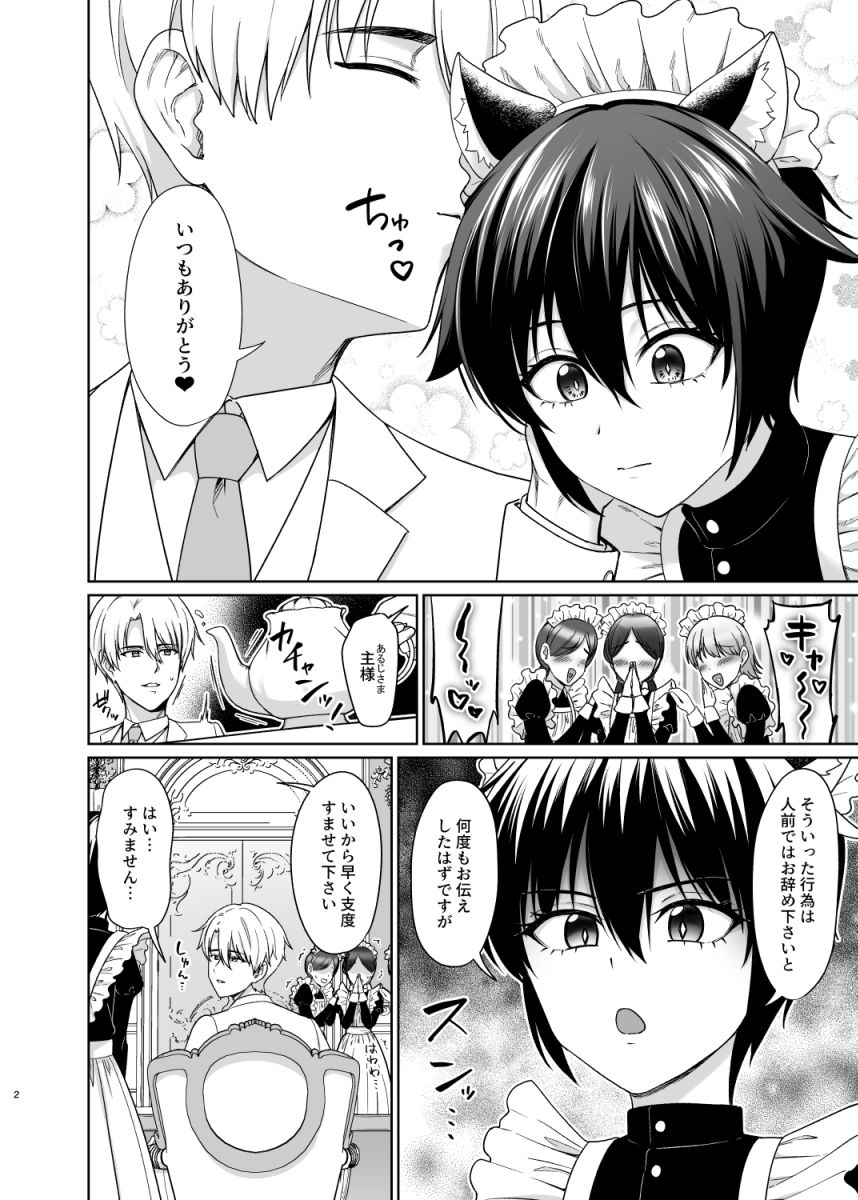 猫耳少年メイドの愛するヒメゴト 画像3