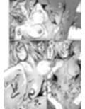 ひねくれ者は恋慕する