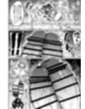 フタナリチャンピオン狩出薫ガ負ケルハズガナイ2