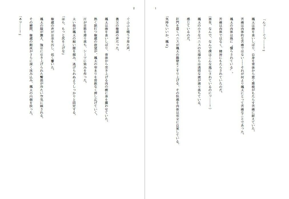 義父に！のサンプル画像3