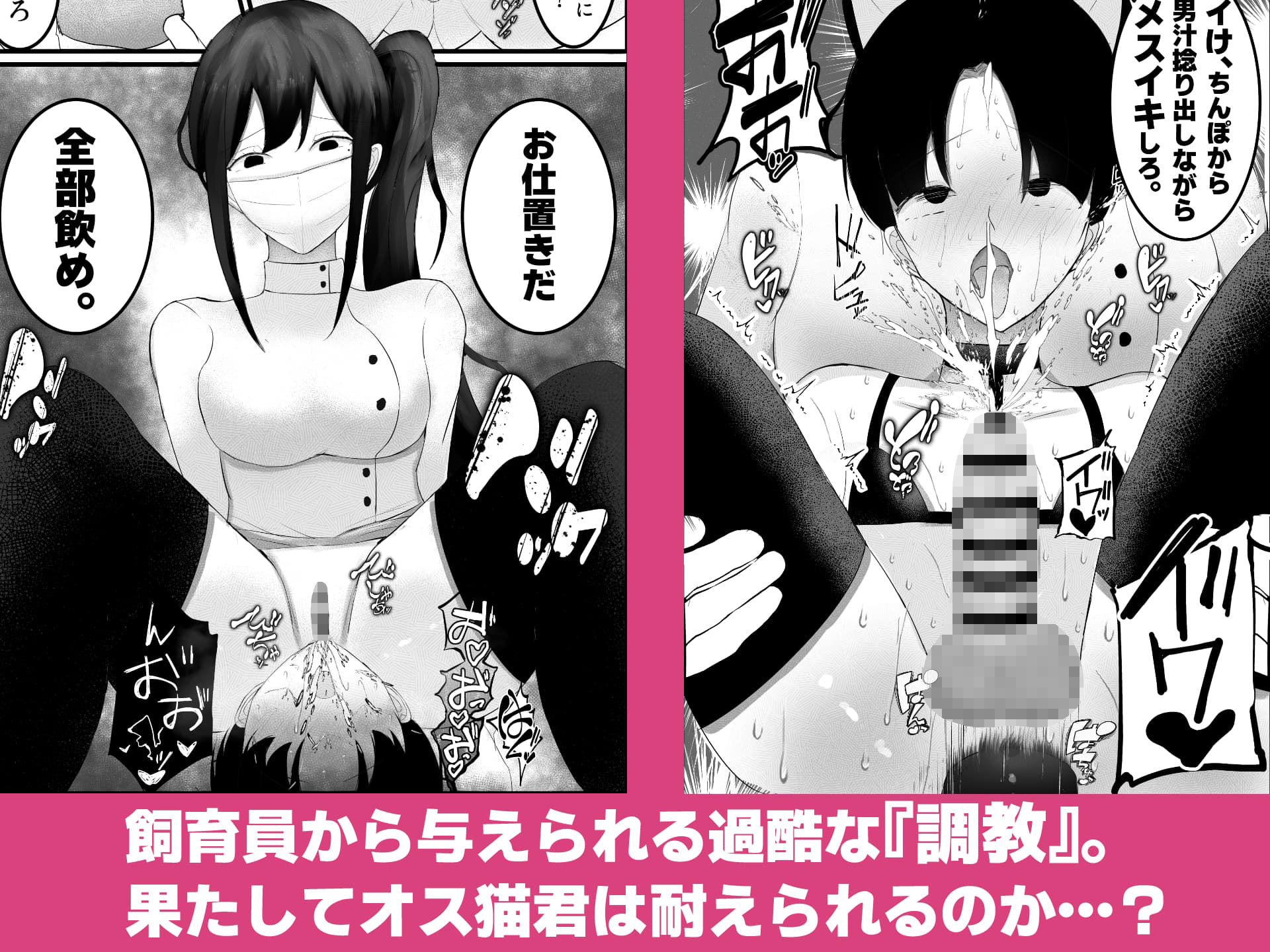 飼育員のお姉さんが可愛いオス猫を『調教』する話_2