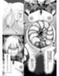 胎内浸蝕
