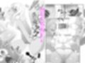 巨乳ギャルのむわぁを嗅ぎながらセックスした話