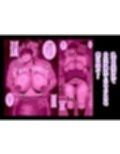 淫乱浮気女を寝取って肉便器にした話 〜清楚で気の弱そうな母親 一ノ瀬 桃子3〜