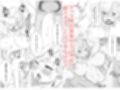 酒場のエルフクルーが チャラ男に寝取られる話