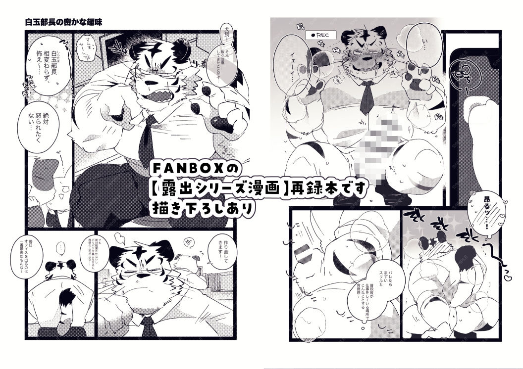 FANBOX COLLECTION 露出本 画像2