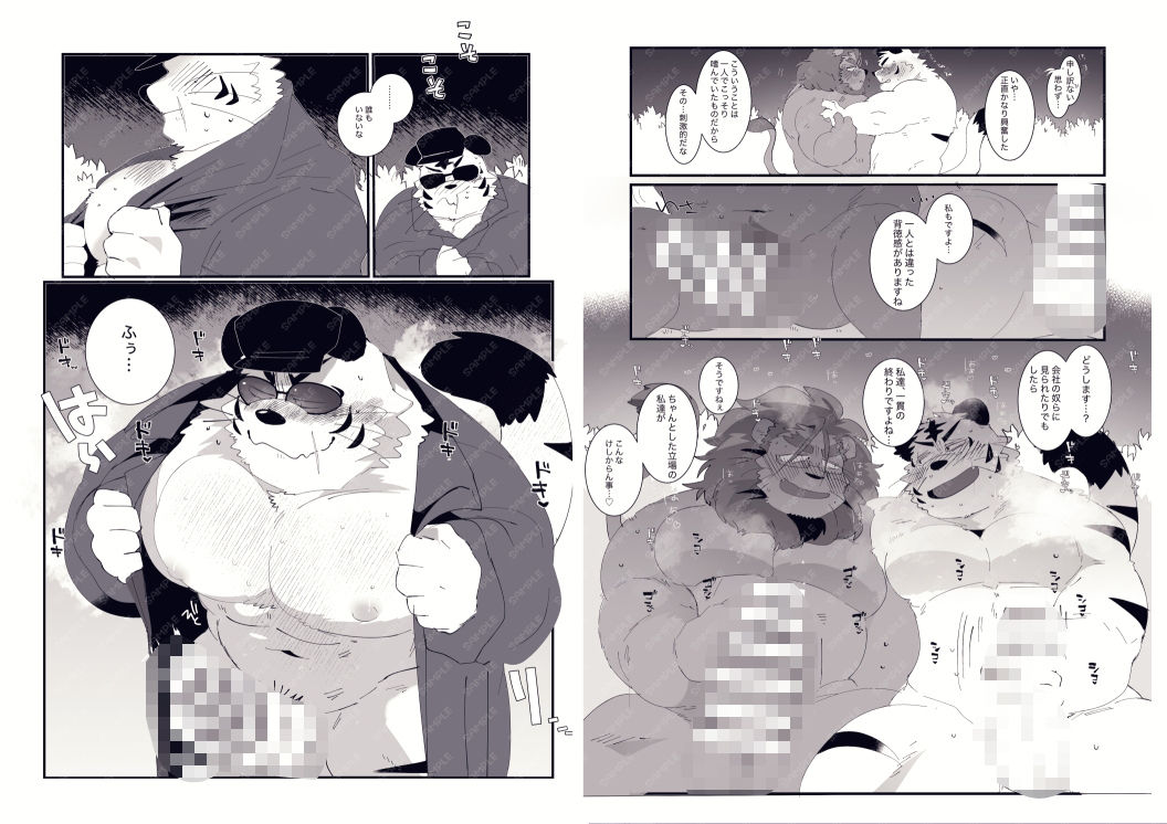 FANBOX COLLECTION 露出本 画像3