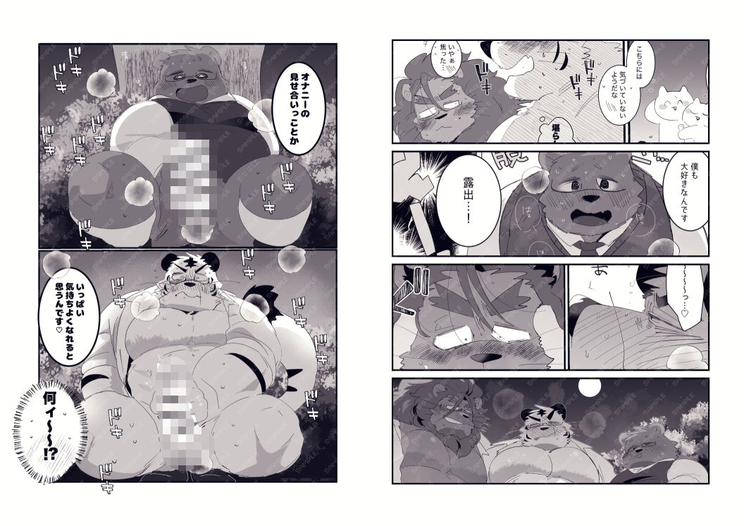 FANBOX COLLECTION 露出本 画像4