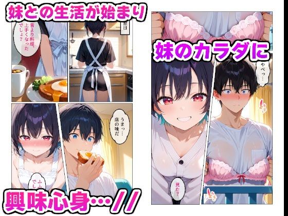制服姿の妹が可愛すぎたので我慢できず生ハメしちゃった話 画像3