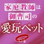 家庭教師は御曹司の愛玩ペット〜成績アップのご褒美に裸でなんでも言うこときくって約束しちゃいました〜