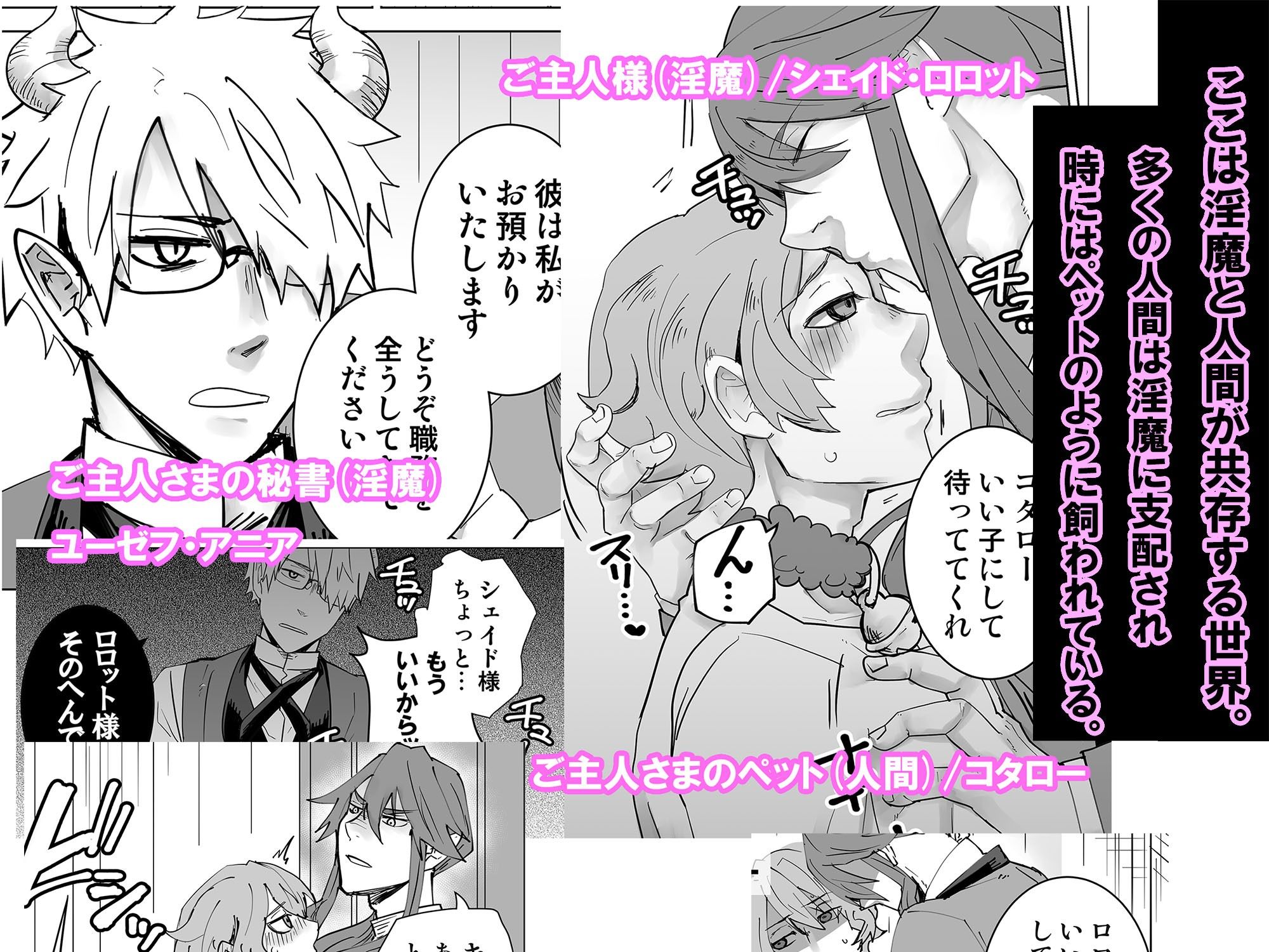 淫魔のペット 恩人のペットを魅了してしまいました 画像1