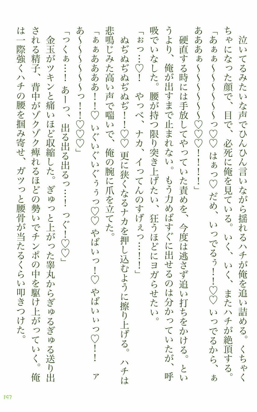 イチバチ! 画像7