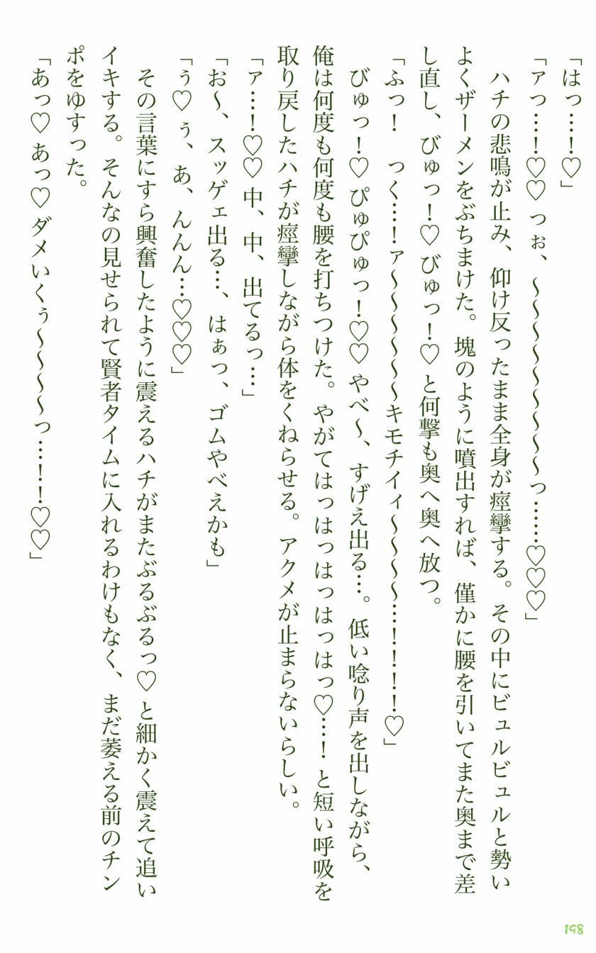 イチバチ! 画像8