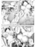 妹と入れ替わったお兄ちゃんは、そのまま美味しくいただかれてしまいました。