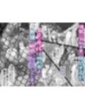 夏日 強気に文句を言いながらもエロい身体が反応してNTRれる保健医実習生の本。ver.