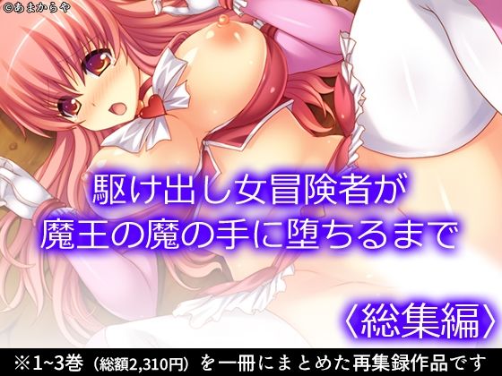 【駆け出し女冒険者が魔王の魔の手に堕ちるまで  ＜総集編＞】あまからや