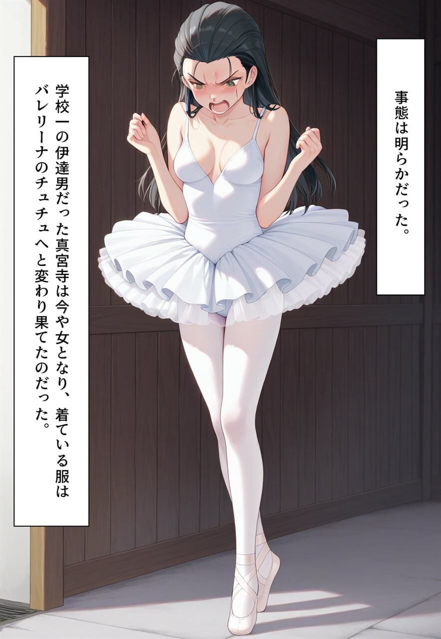 困惑の白鳥 トゥシューズを履かされた男たち 画像6