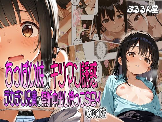 ちっぱい妹のキツマン誘惑〜デカチン兄貴と禁断中出し抱っこSEXしちゃった話【ぷるるん堂】