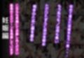 サンプル8