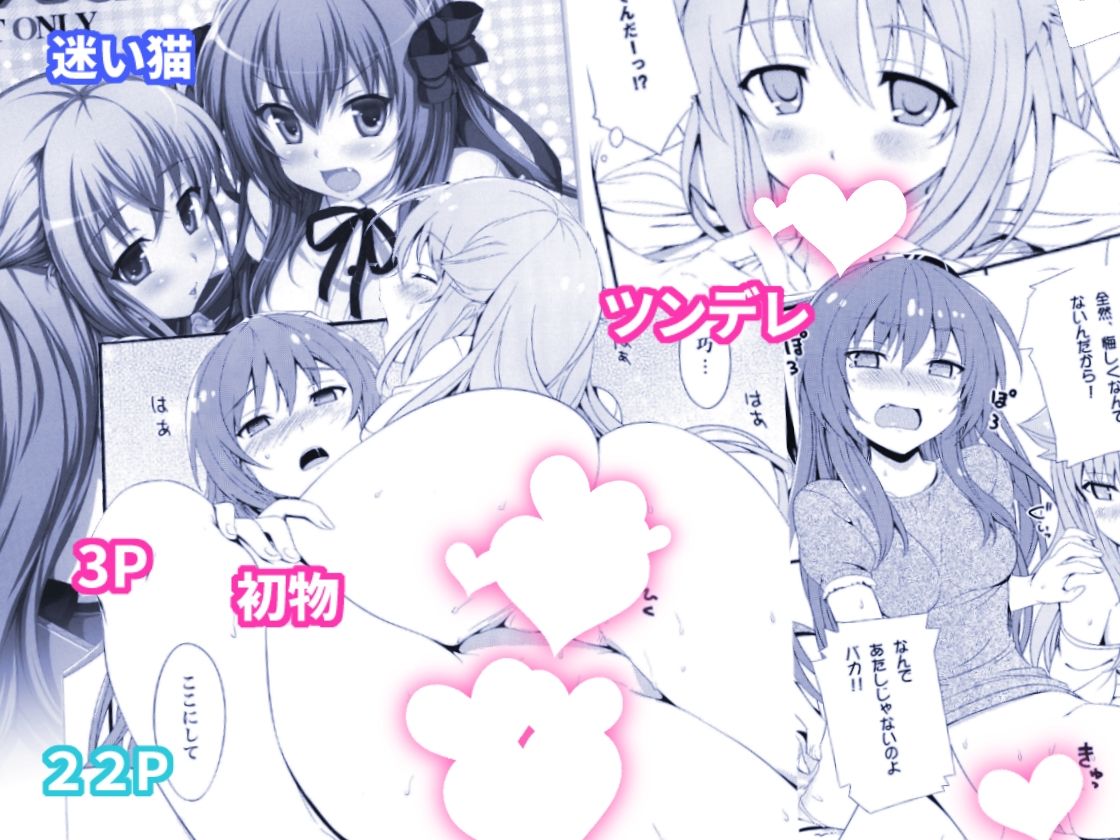 【エロ漫画】ねこはまんまがうつくしい 最初のまとめ本5