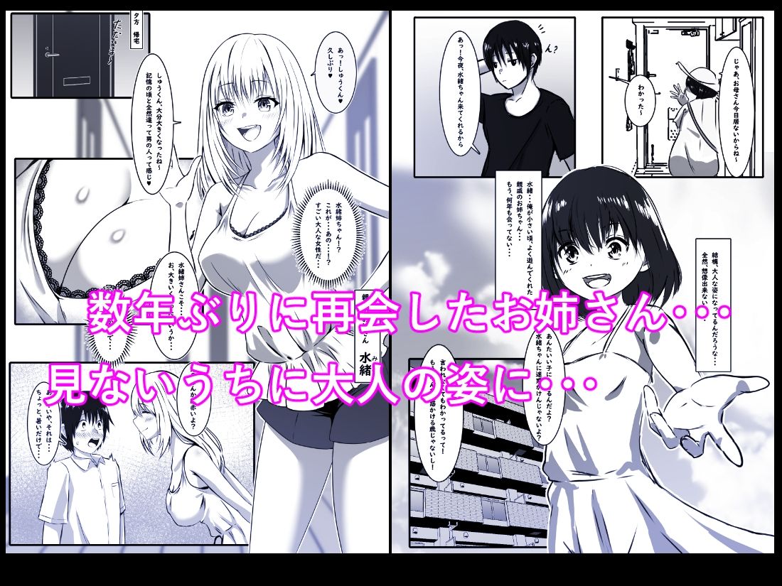 サンプル画像1:久しぶりに泊まりに来たお姉さんと初めてのセックス(おしぼりまる) [d_599401]