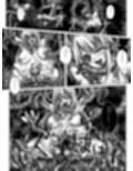 全滅女アドベンチャー
