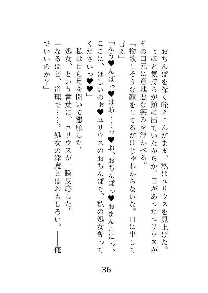 処女淫魔は絶倫召喚士に屈服させられる_5