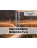 田舎のえっちがすごい…！性に溺れる俺の夏休み〜俺と妹編〜