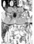 サンプル6
