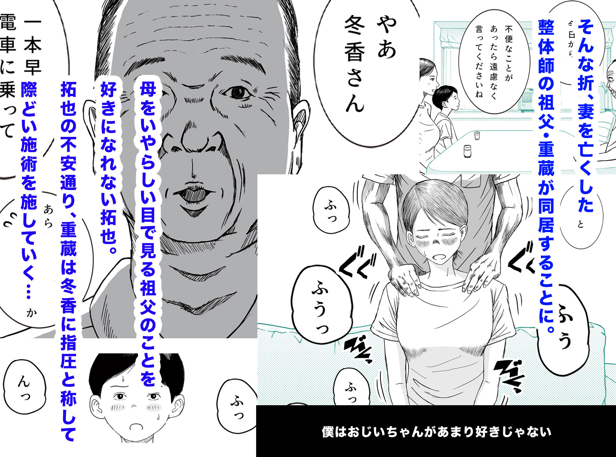 お母さんとお祖父ちゃんが子作りしています2