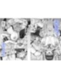 SNSで男だと思っていた相手が 不愛想だけど好き放題ヤらせてくれる 背の高い女だった話