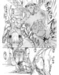 鋼の女2