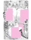 せいイキ of MAMA