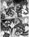 絶対補食圏〜女エリート部隊全滅〜