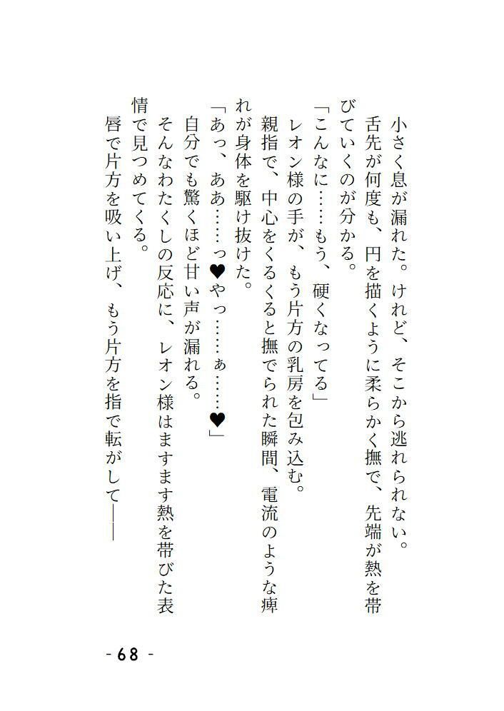 短編集 〜淫の国の姫・馬車の中で護衛の騎士様にイカされちゃう話・神官様、これは本当に儀式ですか?〜 画像6