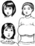 陵●された三十人の人の妻