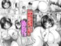 淫乱メス豚奴●に堕ちてしまいました 2