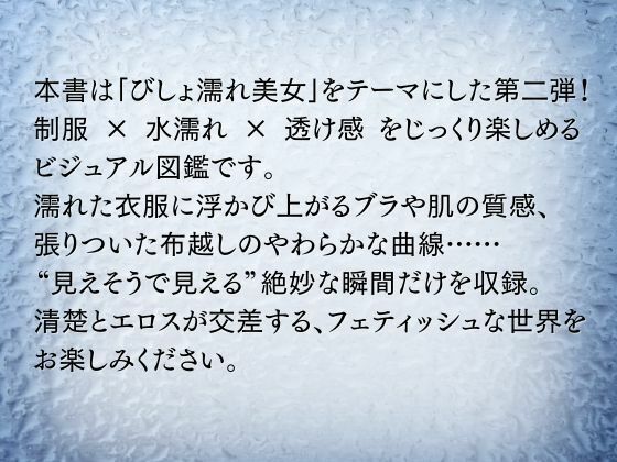 サンプル画像2:びしょ濡れ美女図鑑 ＃2 制服編(ももいろクレヨン) [d_607145]