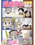 ガルまん総集編カセット
