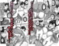 膣内射精おじさんに狙われた女は逃げることができない 〜藤友恵海編 VOL.3〜