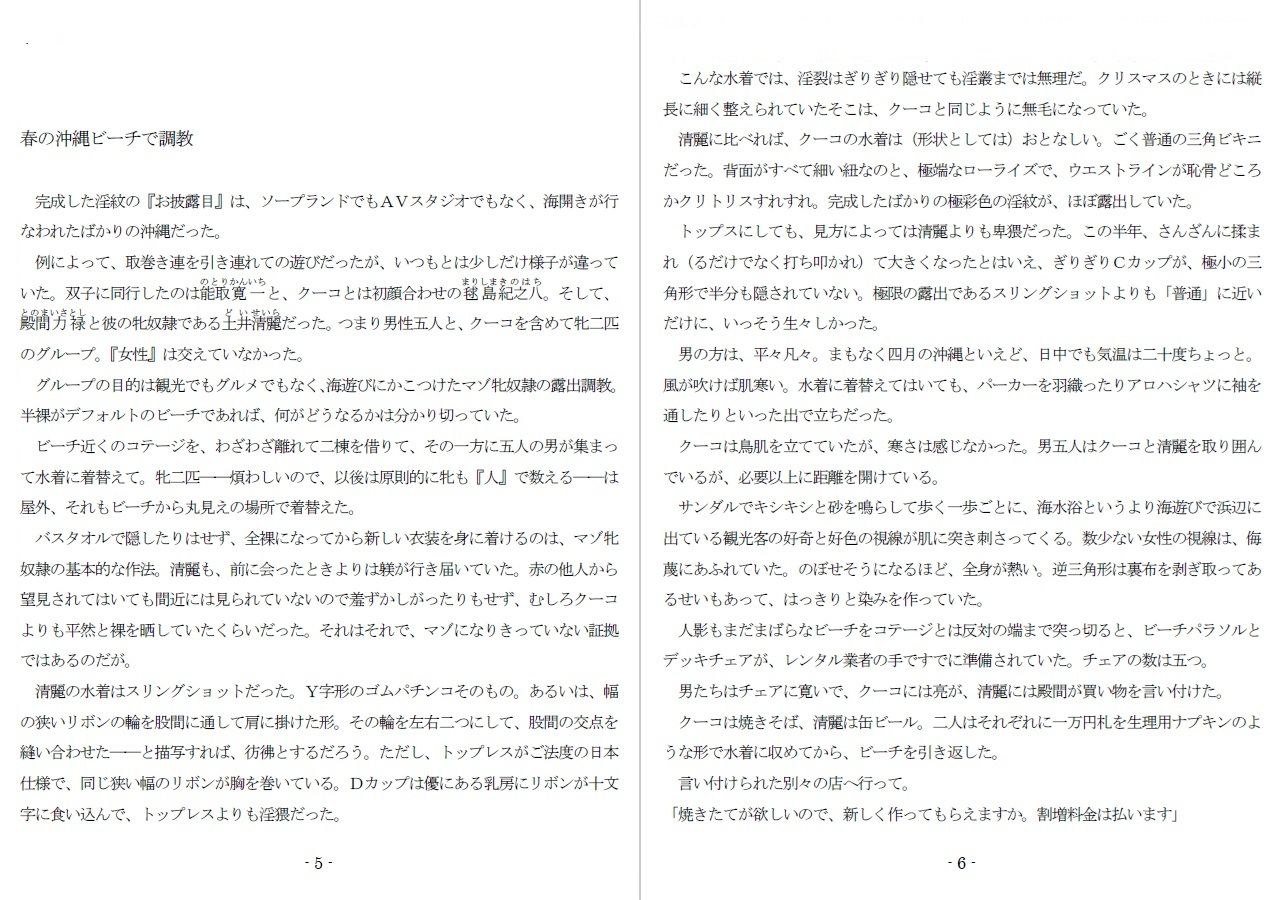 サンプル画像1:800万円のDVR:3惨虐搾取編(SMX工房) [d_607611]