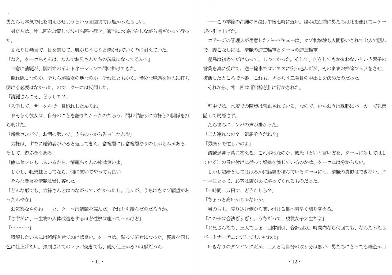 サンプル画像4:800万円のDVR:3惨虐搾取編(SMX工房) [d_607611]