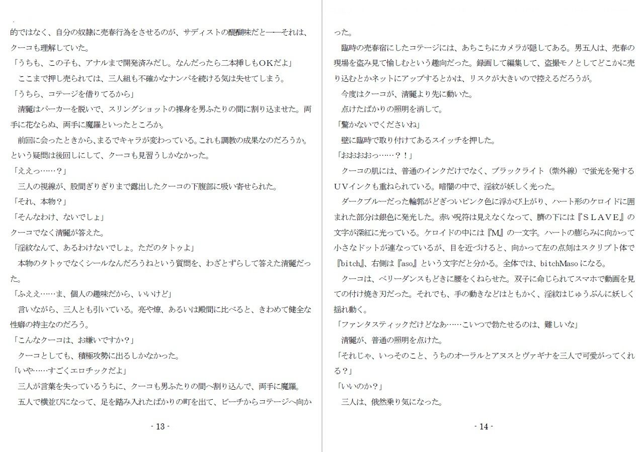 サンプル画像5:800万円のDVR:3惨虐搾取編(SMX工房) [d_607611]